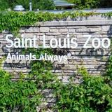 Saint Louis Zoo