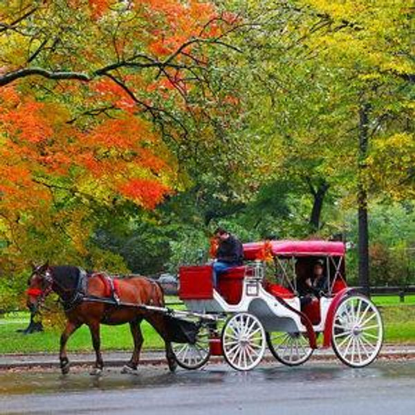 Central Park Carriage Ride