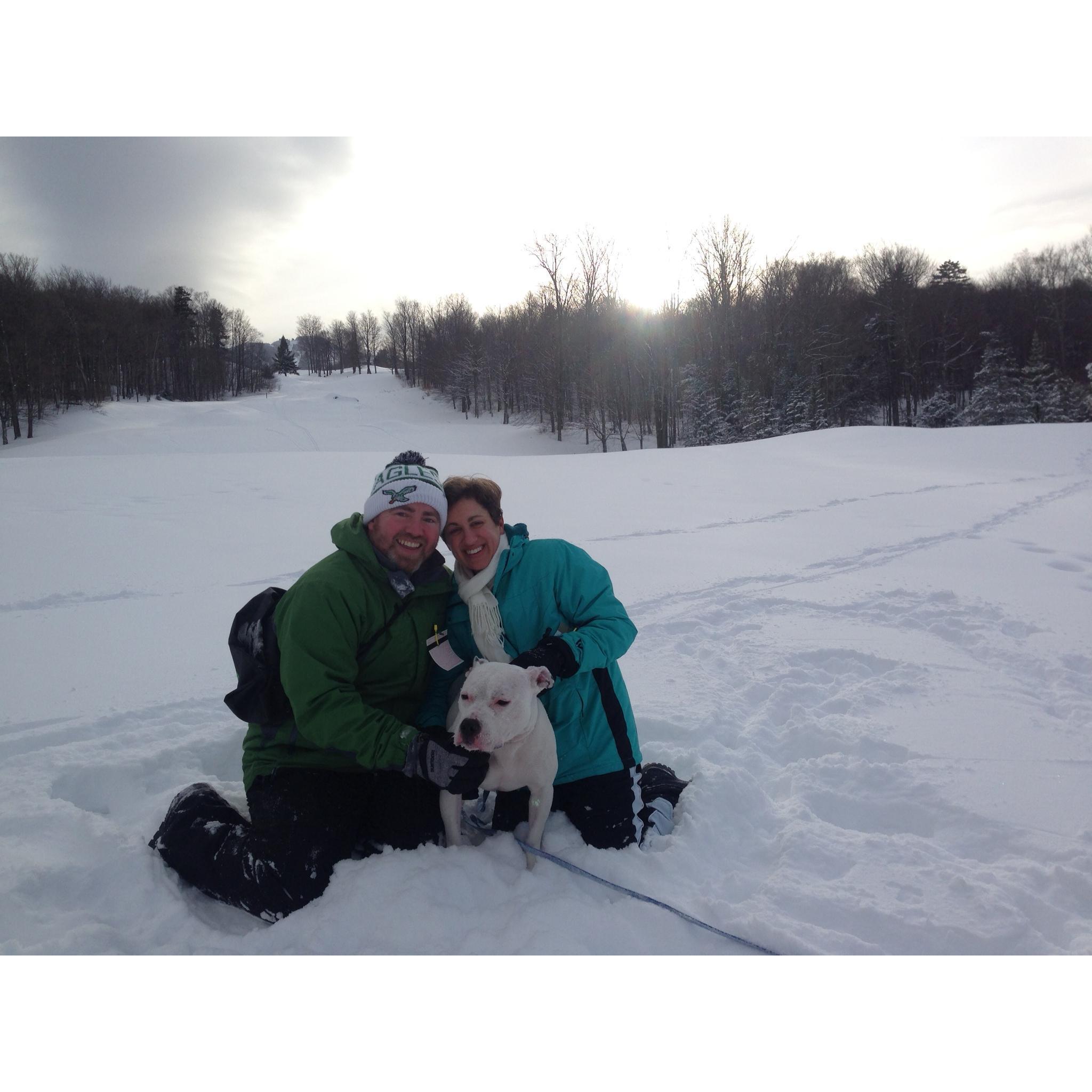 Wintry jaunt with Cruise around Killington's Golf Course. He loved it, but was cold when he stopped moving.