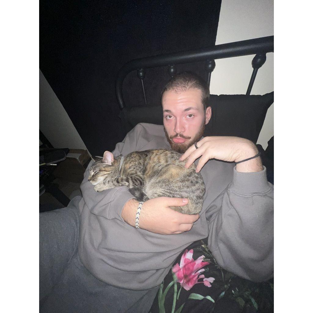 certified cat dad
