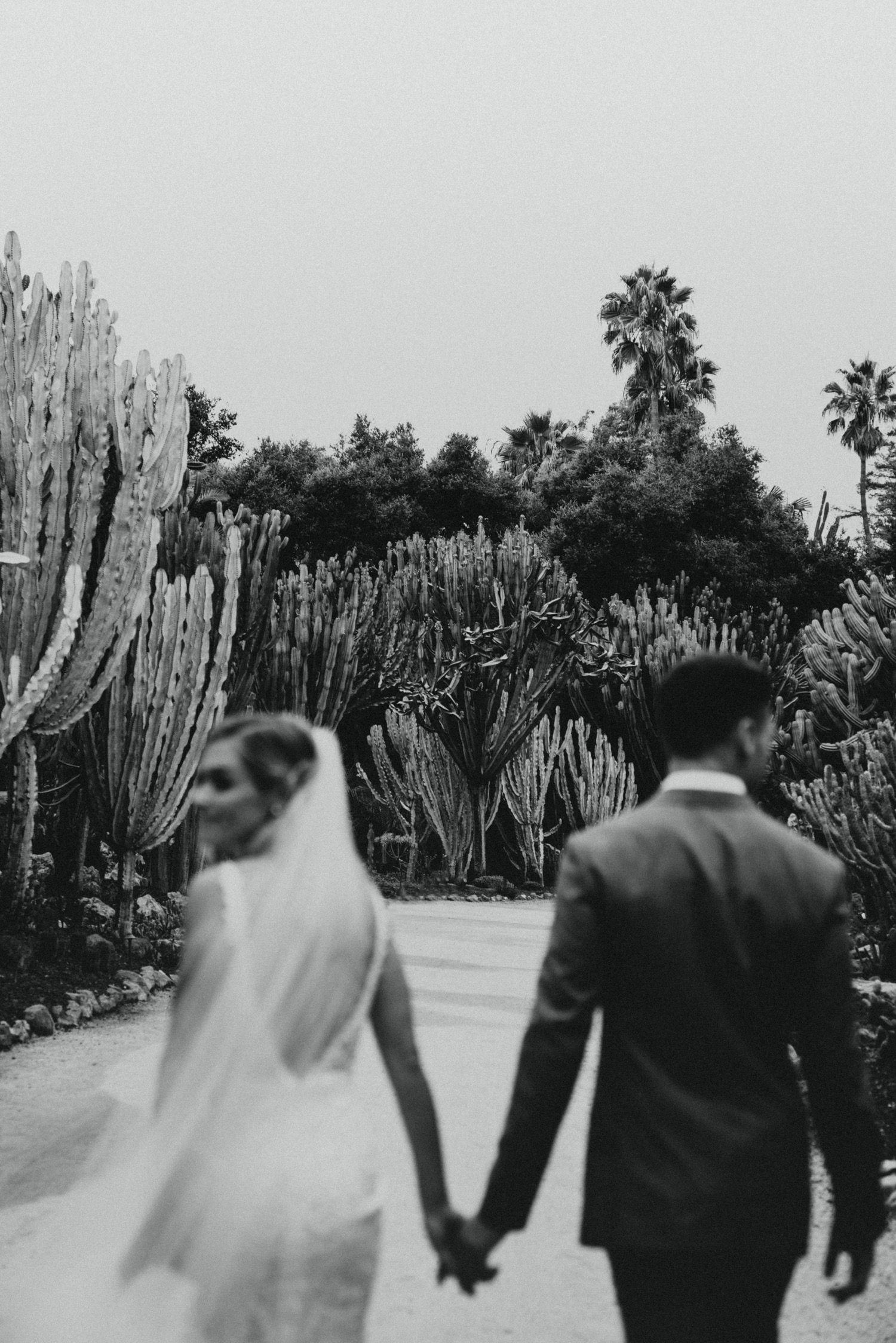 The Wedding Website of Galina Strelko and Greg Caines