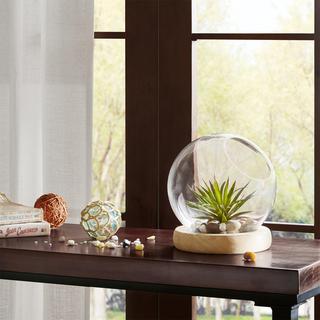 Amory Bubble Terrarium