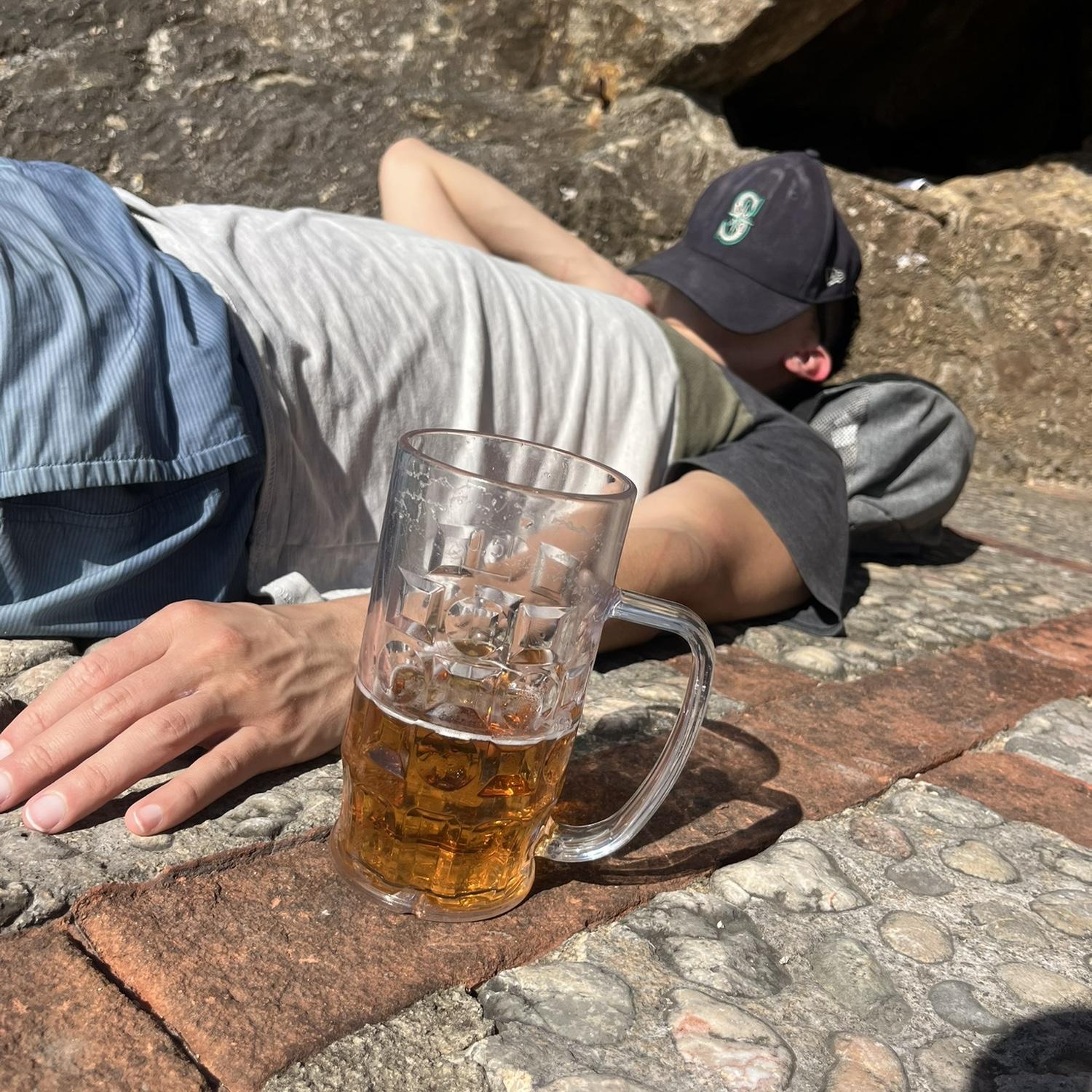 Lizard mode in Mallorca