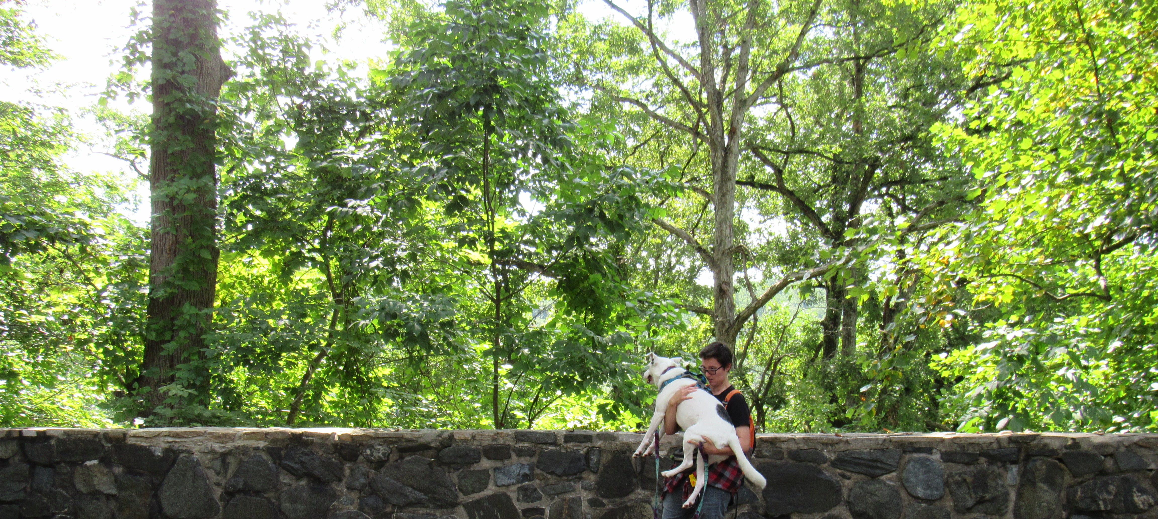 The Wedding Website of Maria Patterson and Amy Longstreth