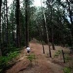 Kuli'ou'ou Valley Trail
