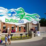 The Buffalo Zoo