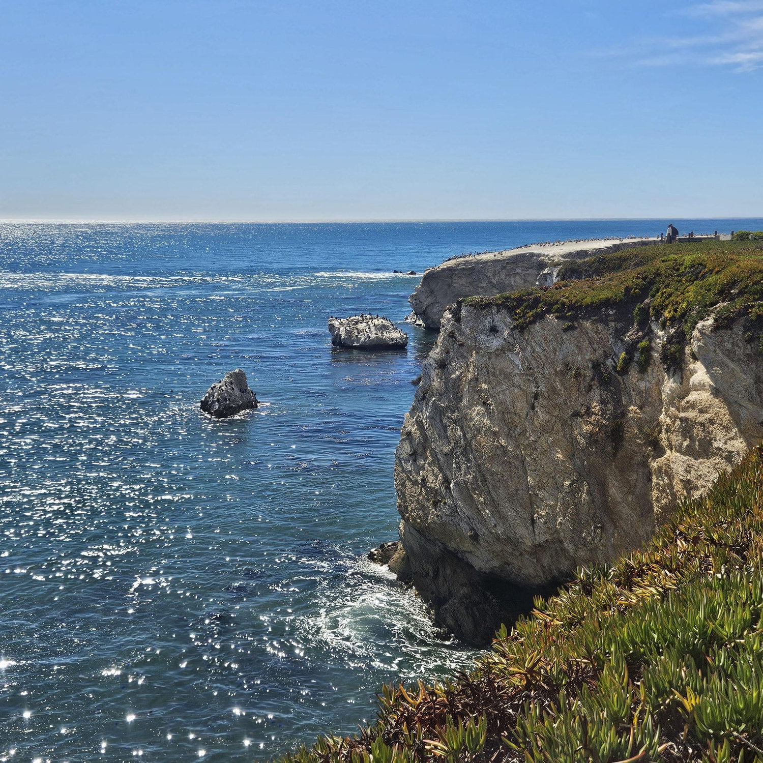 10/12 Dinasaur Caves Park, Pismo Beach