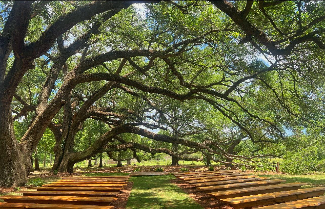 The Wedding Website of Laina Holmgren and Seth Frasier