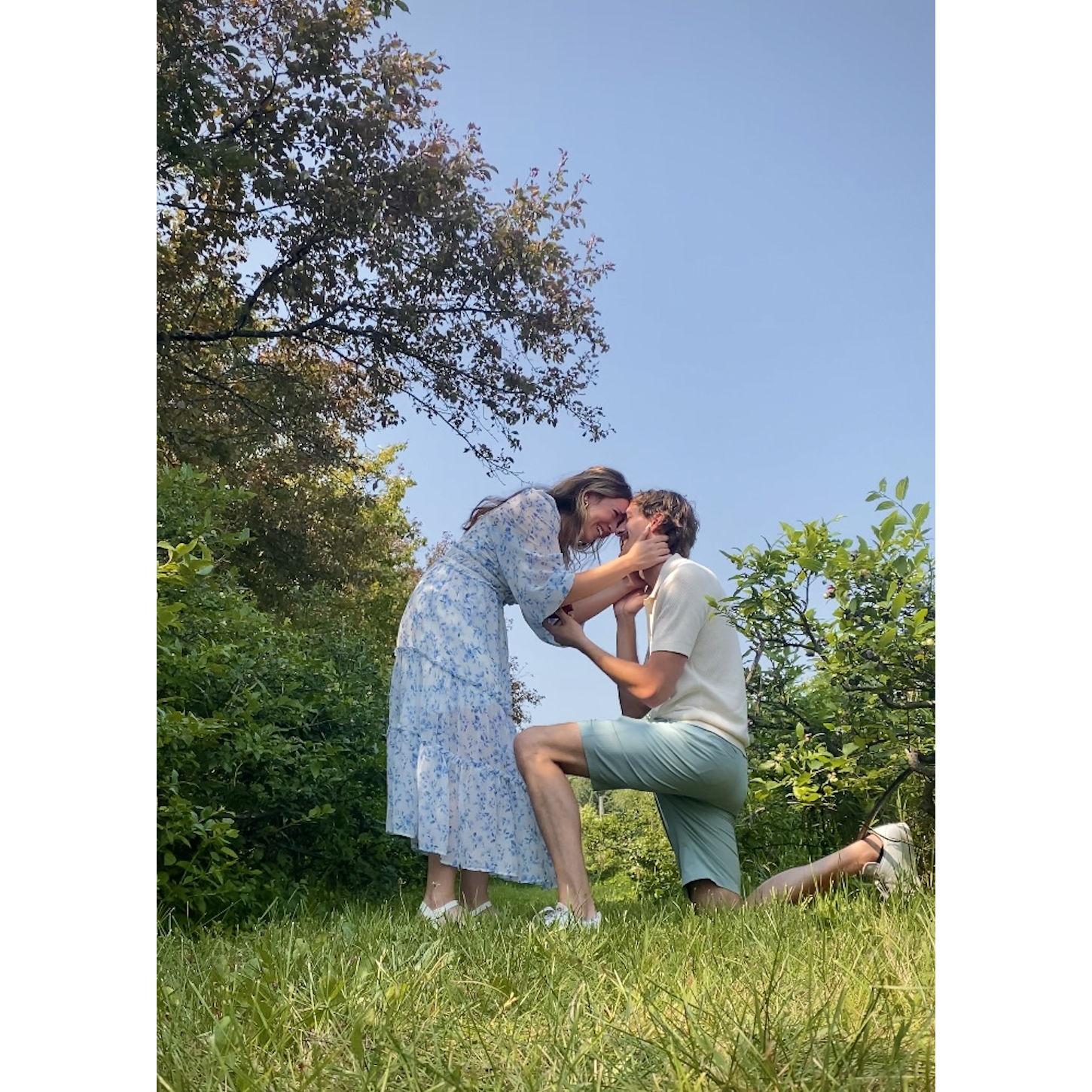 Joey popped the question on July 27th, 2024 in a blueberry orchard in Wisconsin!