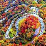 Tail of the Dragon