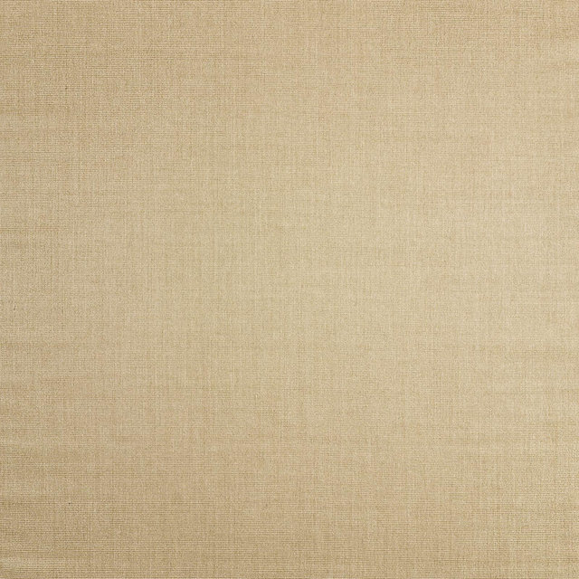 Sisal Almond Brown Area Rug 6'x9'