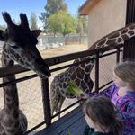 Fresno Chaffee Zoo