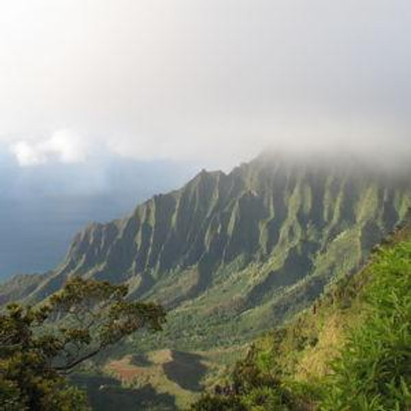 Moving back to Hawaii Fund