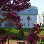 Parley Lake Winery