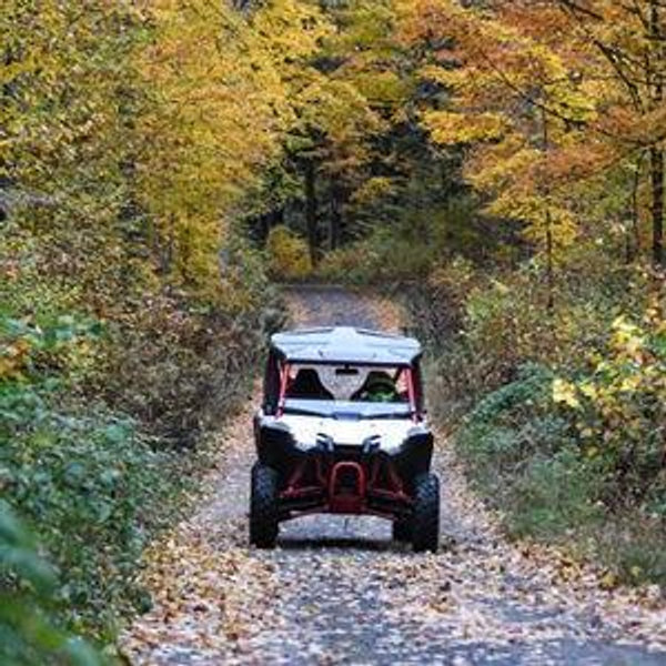UTV Guided Trail