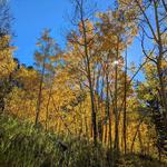 Golden Gate Canyon State Park