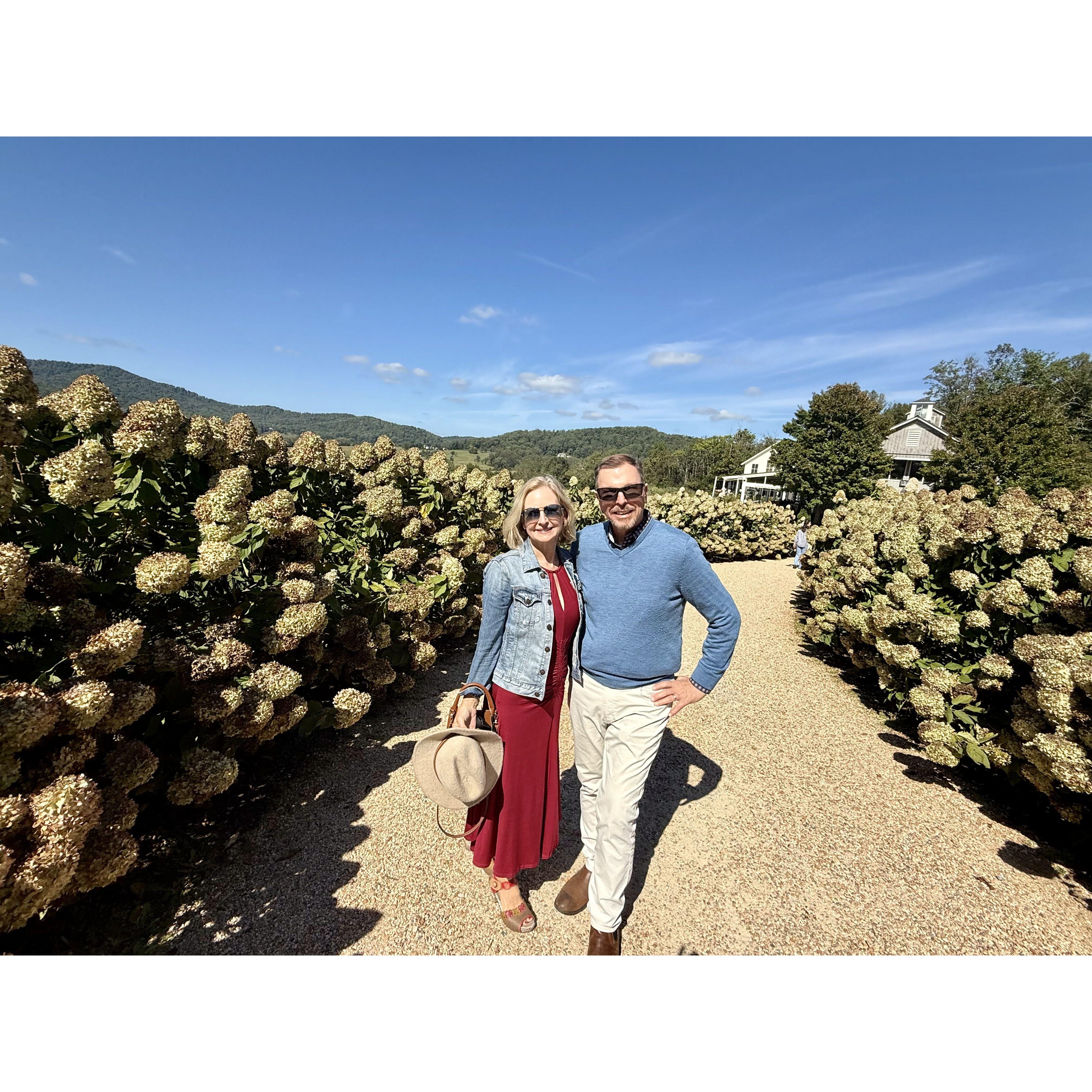 PippinHill Farm in Charlottesville….a must for food, wine, gardens, and the view!