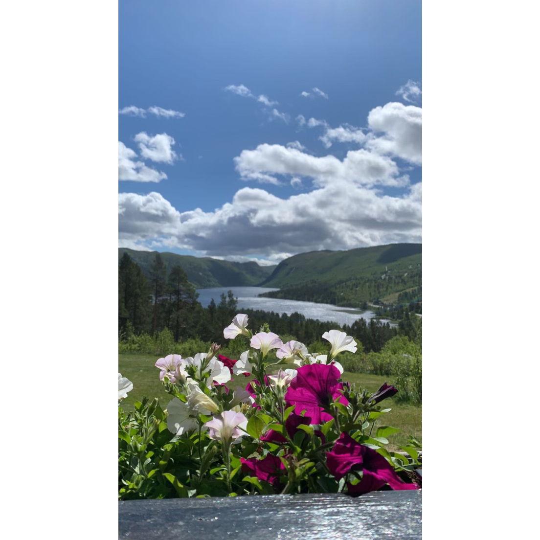 The view from a Furnes family retreat - Norway, June 2022