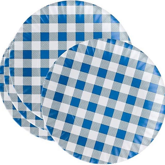 What Is It?" Reusable Blue & White Gingham Checkered Picnic/Dinner Plate, 9 Inch Melamine, Set of 4