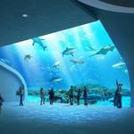 Mote Marine Laboratory & Aquarium