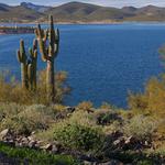 Lake Pleasant Regional Park