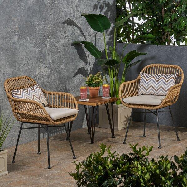 Maspeth Outdoor Woven Patio Chair with Cushion (Set of 2)