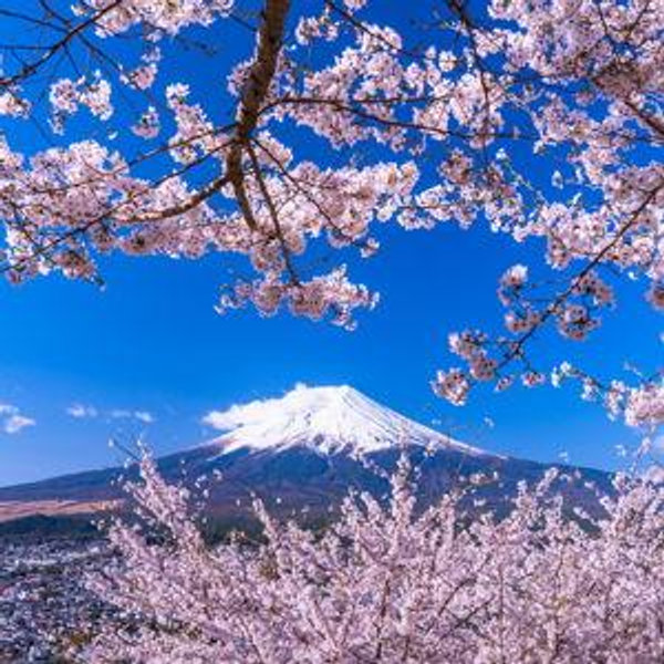 Honeymoon Fund - Japan