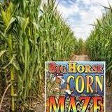 Big Horse Corn Maze & Harvest Festival