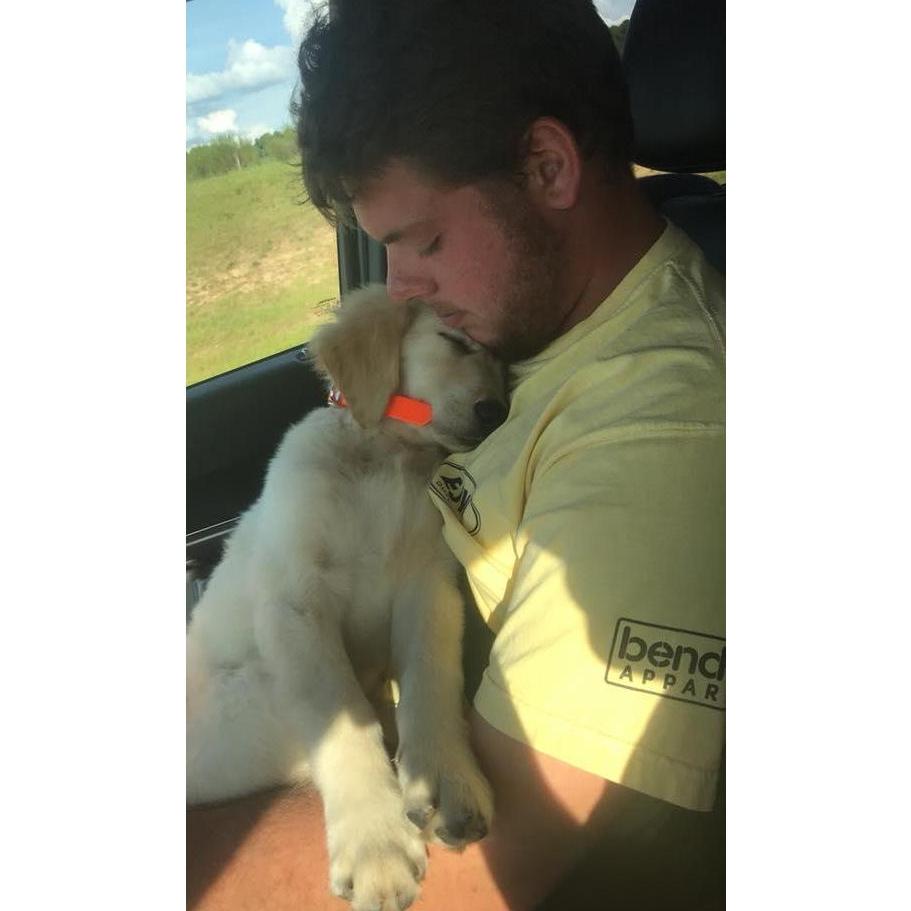 June 1 2018 - Our Sweet Waylon was born