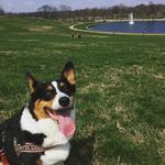 Forest Park