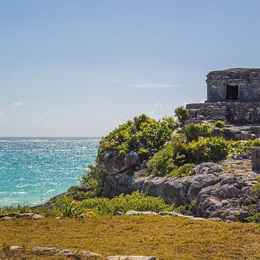 Tulum & Dolphin Interaction
