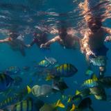Snorkeling