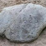 Plymouth Rock
