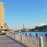 Tampa Riverwalk