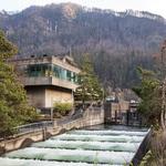 Bonneville Dam