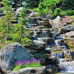 Frederik Meijer Gardens & Sculpture Park