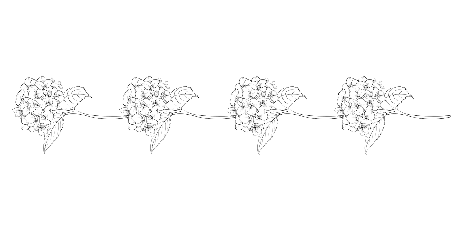 The Wedding Website of Amanda Maria Margiolas and Kenneth Charles Otten III
