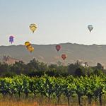 Balloons Above the Valley