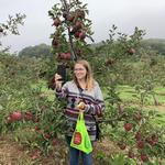 Dr Davies Farm