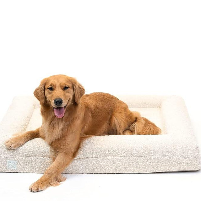 Bluewater Dog Luxury Boucle Orthopedic Memory Foam Dog Bed with Waterproof Liner and Machine Washable Cover with YKK Zippers (Large, 45" L x 36" W x 7" Th, Cloud)
