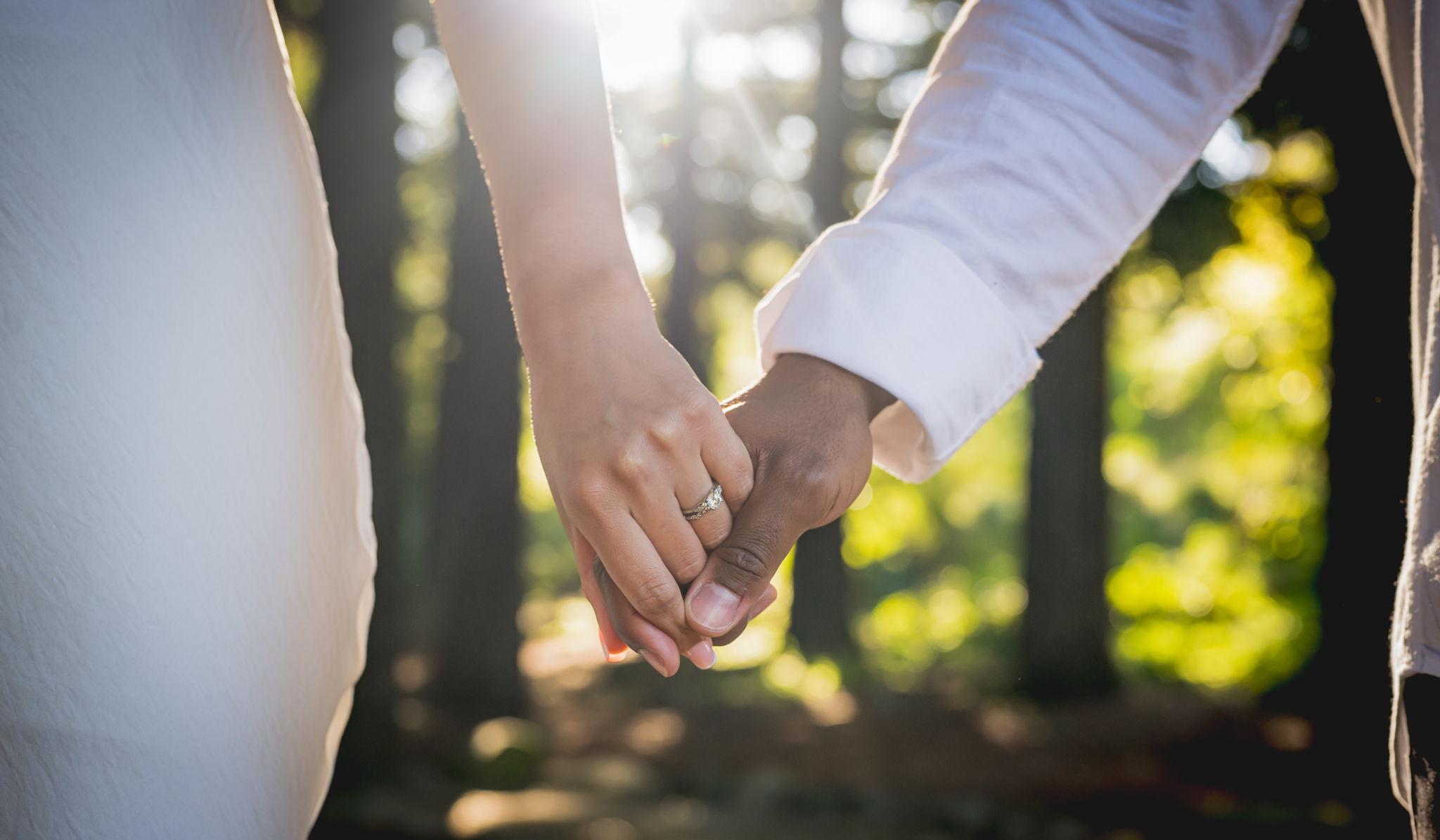 Hero Slideshow Image 0