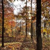 Raccoon Mountain Chattanooga Overlook