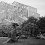 Frederik Meijer Gardens & Sculpture Park