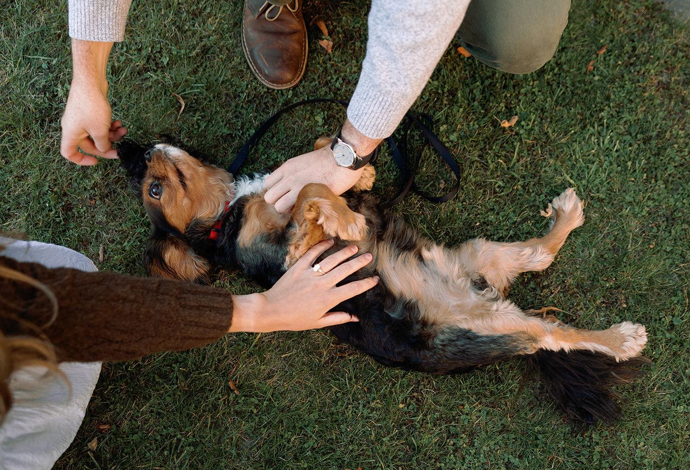 The Wedding Website of Devon McFadden and Owen Downs