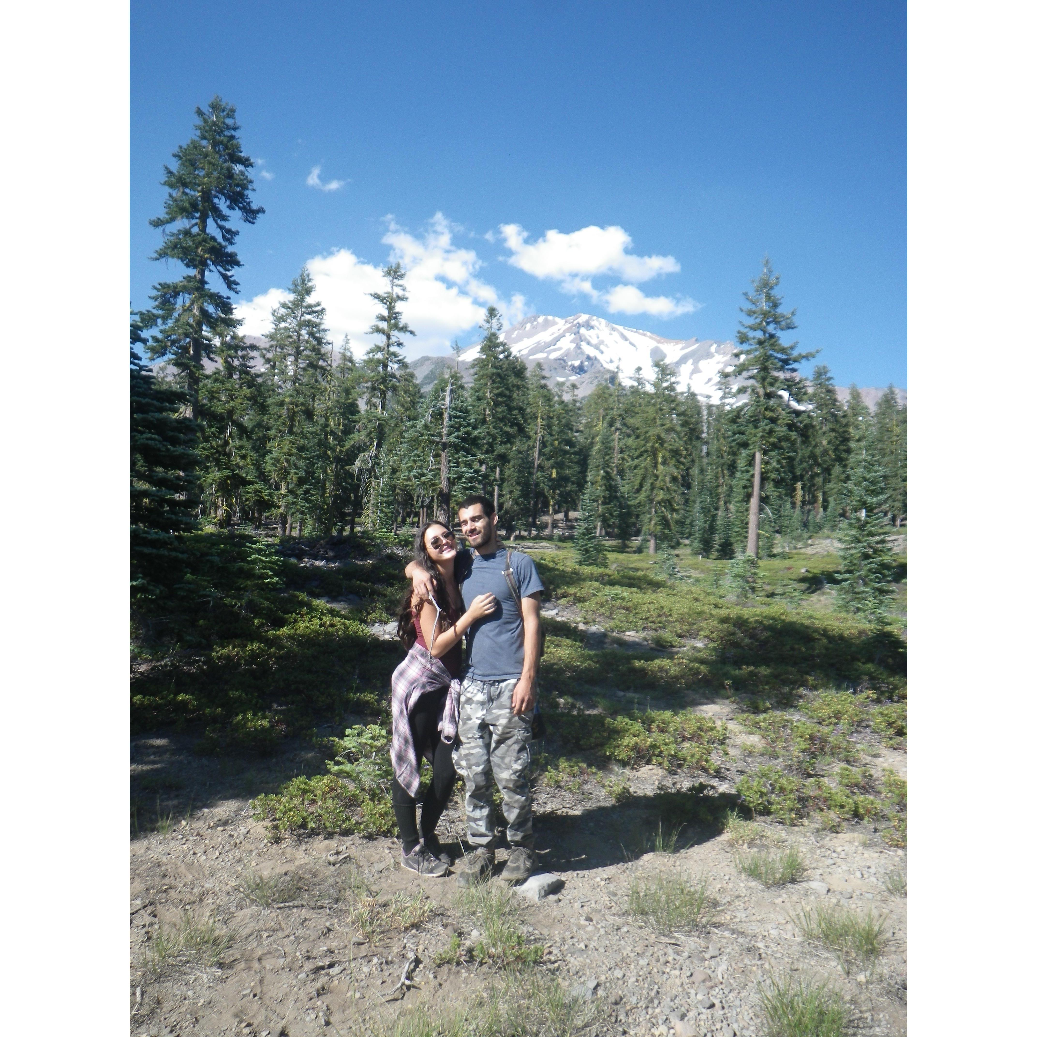 Sun Bathing in a lush meadow of Mount Shasta, CA