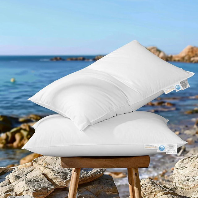 AiAngu Canadian Luxury Goose Down Pillow Queen Size - 900 Fill Power, 100% Cotton with Teflon Shell- Ultra Comfort Sleep Pillows - Bed Pillows for Back, Stomach, Side Sleeper(White,Queen(Pack of 2))