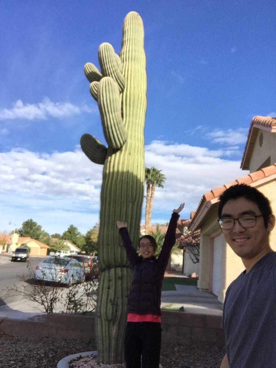 Las Vegas 2017