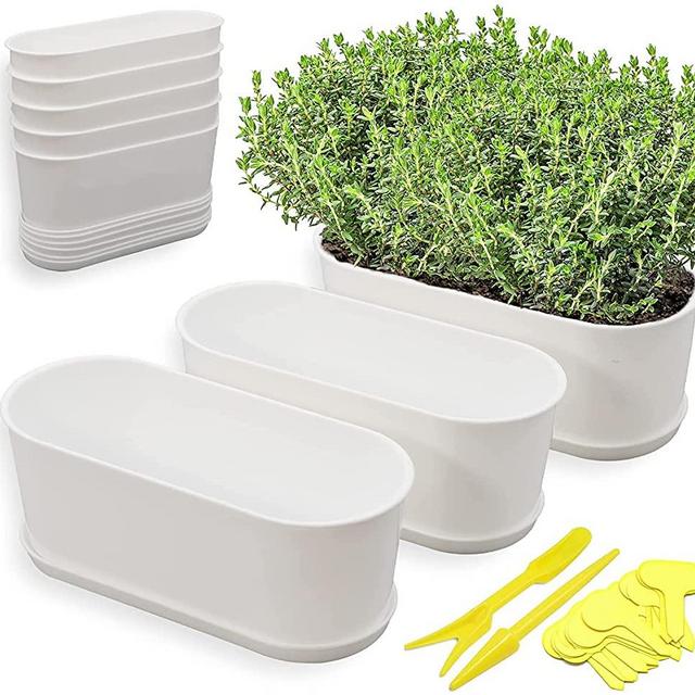 Torfican 5 Set Window Herb Planter Box Rectangular,8.5x3.5 Inch White Plastic Planters with Multiple Drainage Holes and Trays,Indoor Succulent Cactus Mint Flower Pot for Windowsill,Garden Balcony
