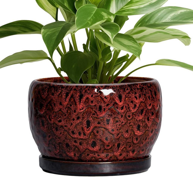 SQOWL Ceramic Plant Pots - 8 inch Planter with Drainage Hole and Tray, Round Ceramic Planter for Indoor Outdoor, Modern Decorative Flower Pot, Home Room House Decor, Plant Lovers Gifts, Red