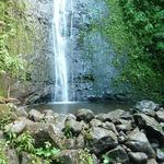Manoa Falls
